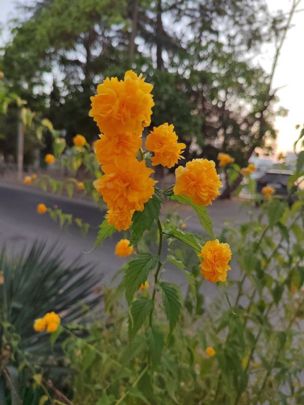 #��� ��� ������?. ���� ������� ��������� � ������� ����������� ������� ����������� ��������� ������ �������, �������� �� ����������� �������