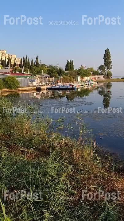 #���_�����. ����������� � ������� ���� � ������� ���� ���������� ����� � ������