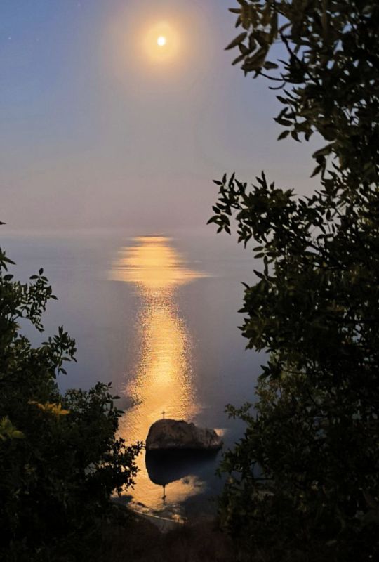 ������ ������� �� ������. ��������� �� ���-������������