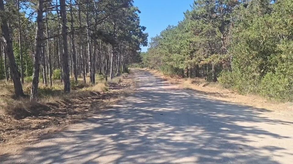 ���������� ���������� ������� ���������������� ������ �� ������� ��������������� �����