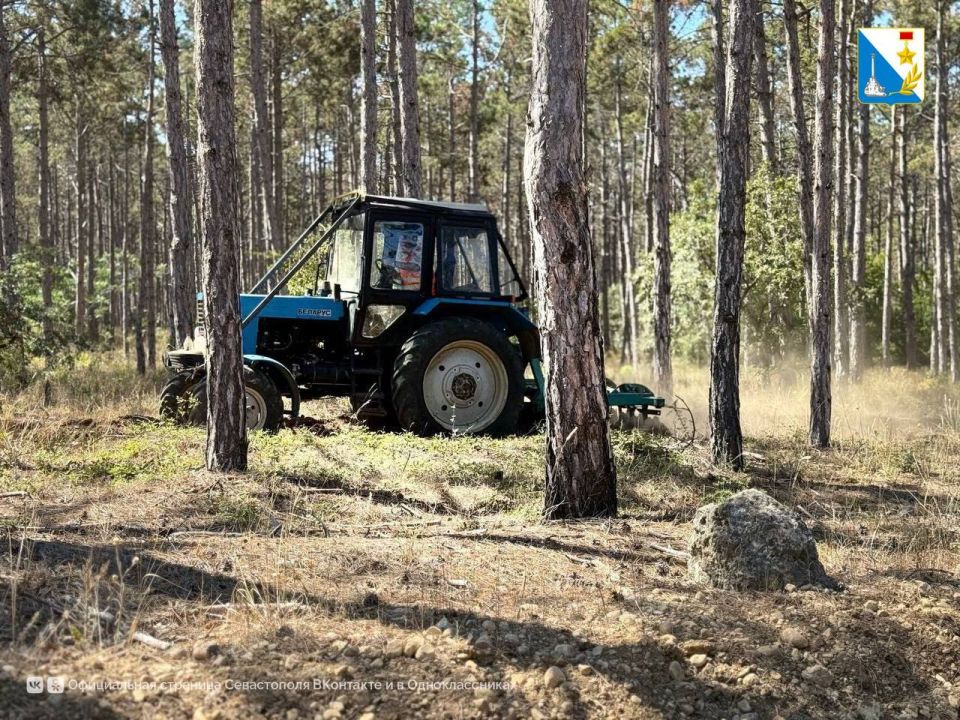 ������� �������� ������ �� �������