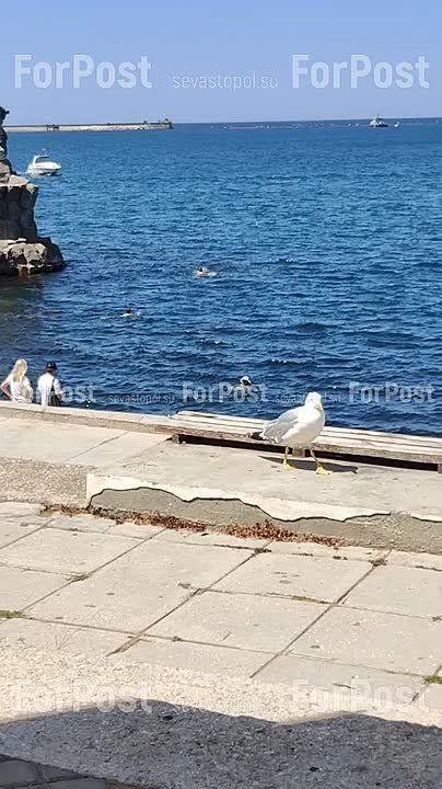 ����� ���� ��� ���������� ������ ��������, ��� �� ���:))