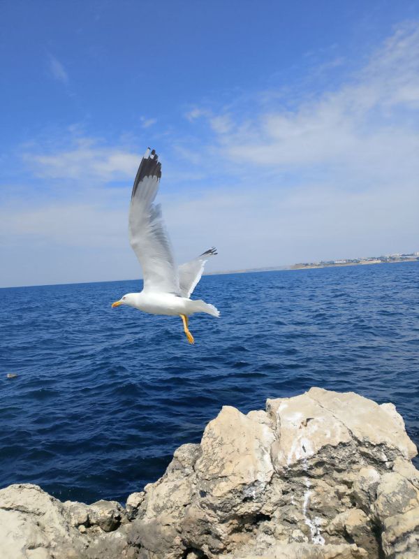 ���� �����!. � ����������� 7 ������� ����� 10-15�/�