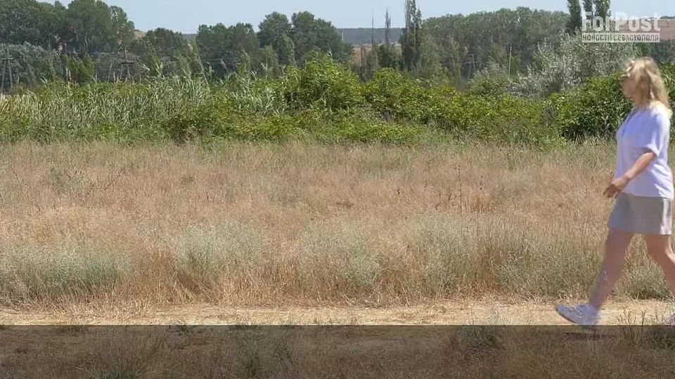 Губернатор Севастополя пообещал героям сюжета ForPost блага цивилизации