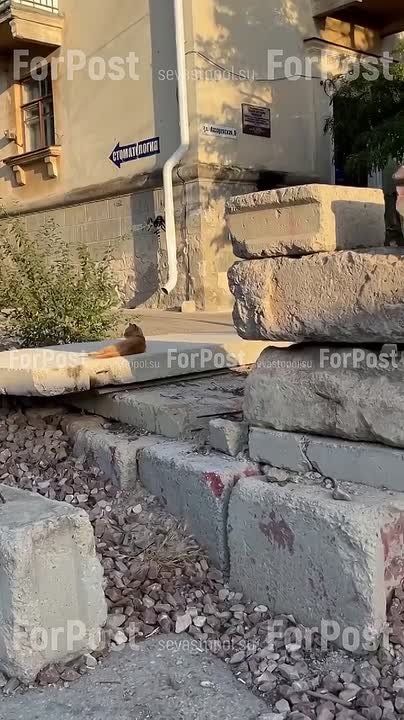 ������� � ���������� ���� ����������� � �������� ����� �������� �����