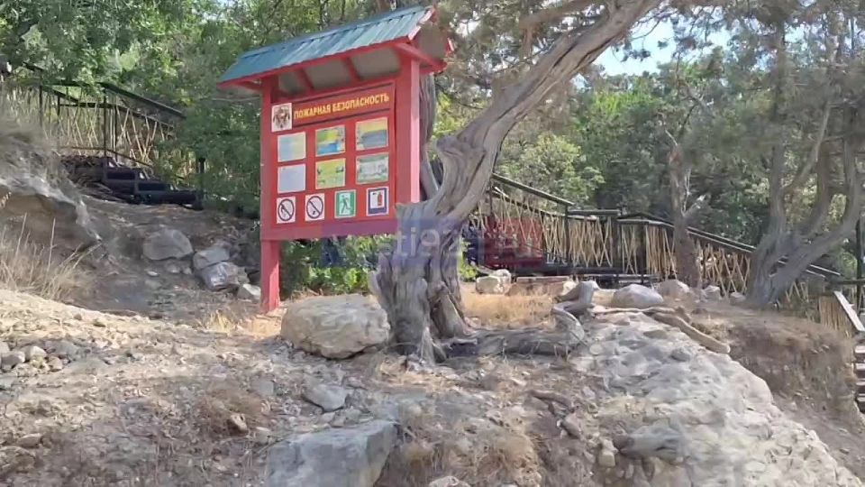 � ����� � �������� ��������� ������ ��� �����