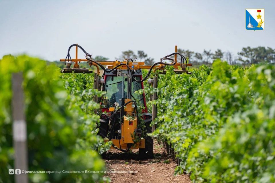 150 ��������������� ��� ����� � ���������� ������� ��� ������