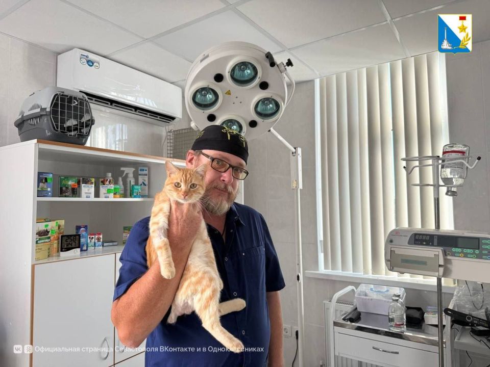 ��������������� ���������� ������ 1200 ����� � ������ ����