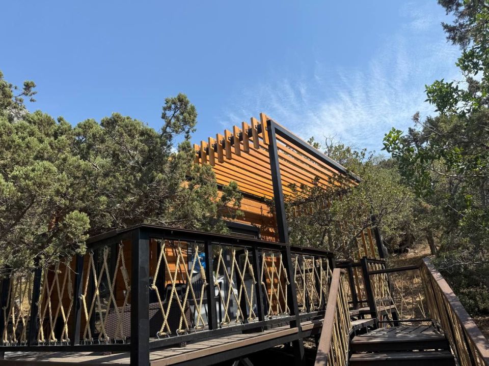 ����� �������: � �������� ������ ���� ������ ������ ���-����� � �����������