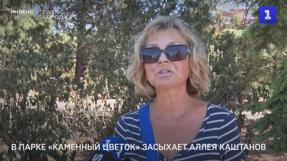 Аллея каштанов засыхает в парке «Каменный цветок»