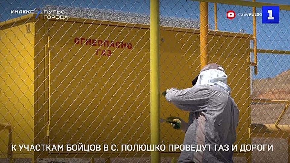 � �������� ������ ��� � ���� ������� �������� ��� � �������� ������