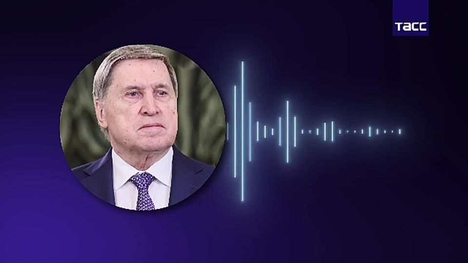 Встреча Путина и Трампа: главное из заявлений помощника президента РФ Ушакова