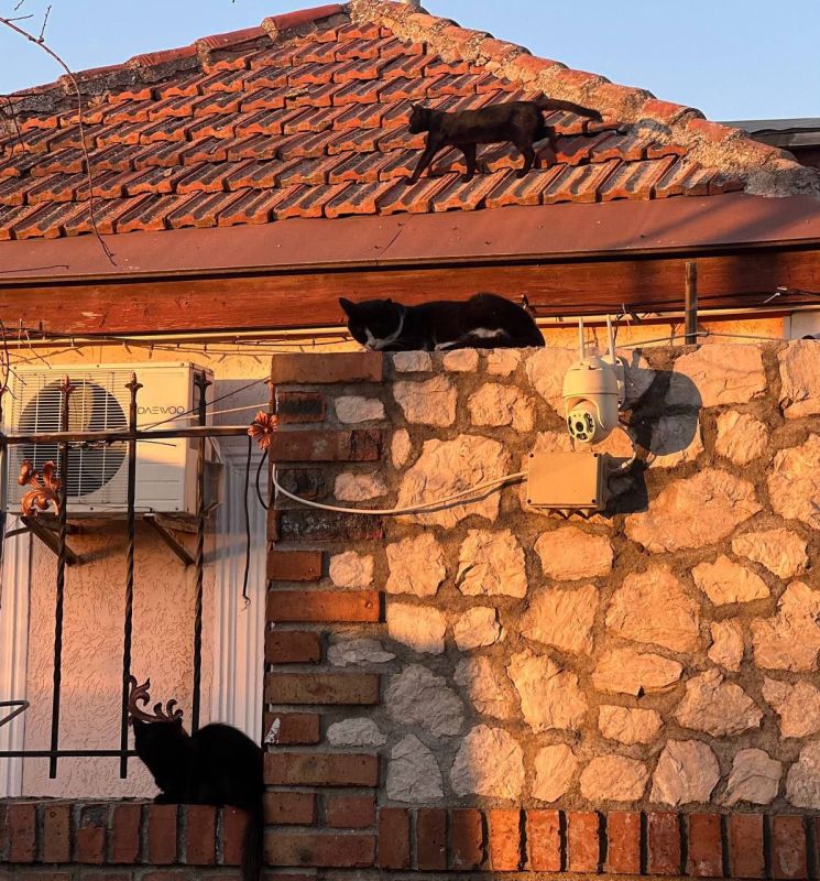 ������ ��������� �����. ����: ������ ��������� �� ���-������������