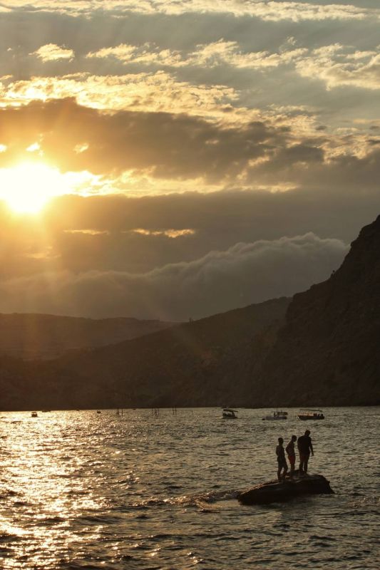 ����, ����, ����������� � ��, ��� ����� ��� �������