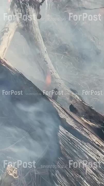 ������� ��� ������ ����� ����������� ����� � �����