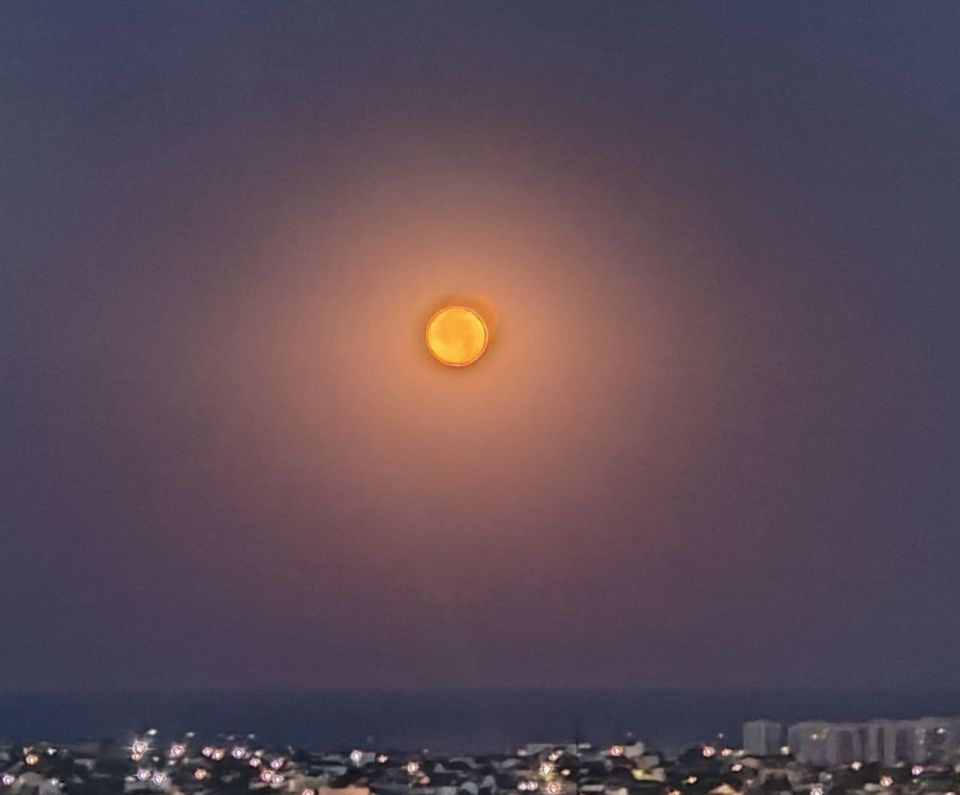 ��������� ���� ������� ����� ��� ������������