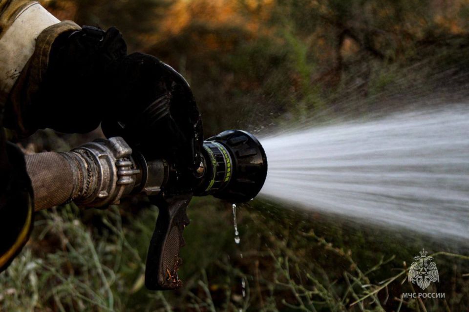 � ������ ������� ��������� � ���� ���� ������� ����� ������� ��������������