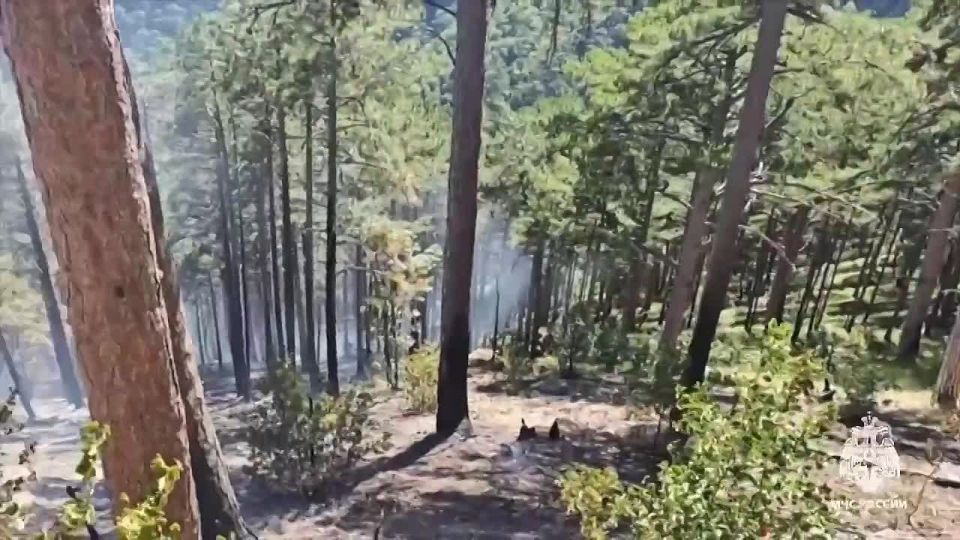 ����� � ���� ����������� �� 2 �������� � ��� ������