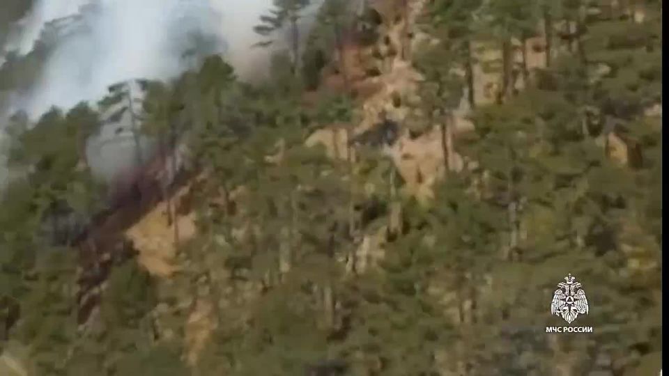 � ����, � ����������� ����������, ����� ����� ��������������