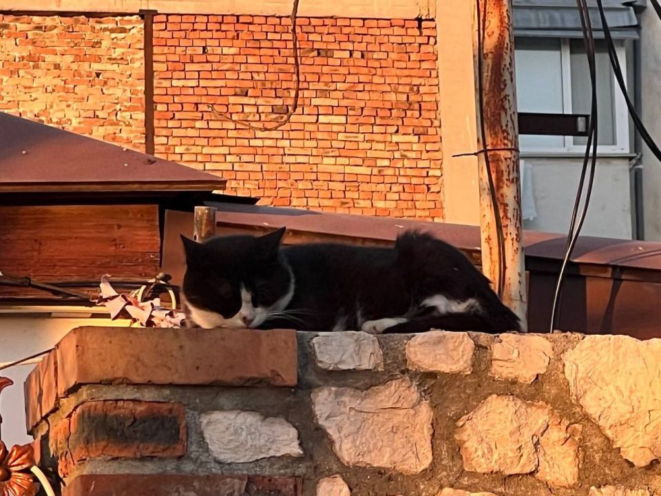 ������ ��������� �����. ����: ������ ��������� �� ���-������������