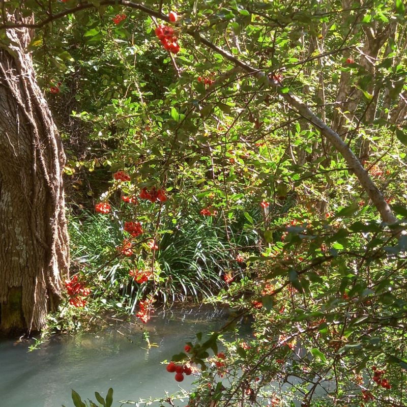 ������� ����������� �������, �����������!