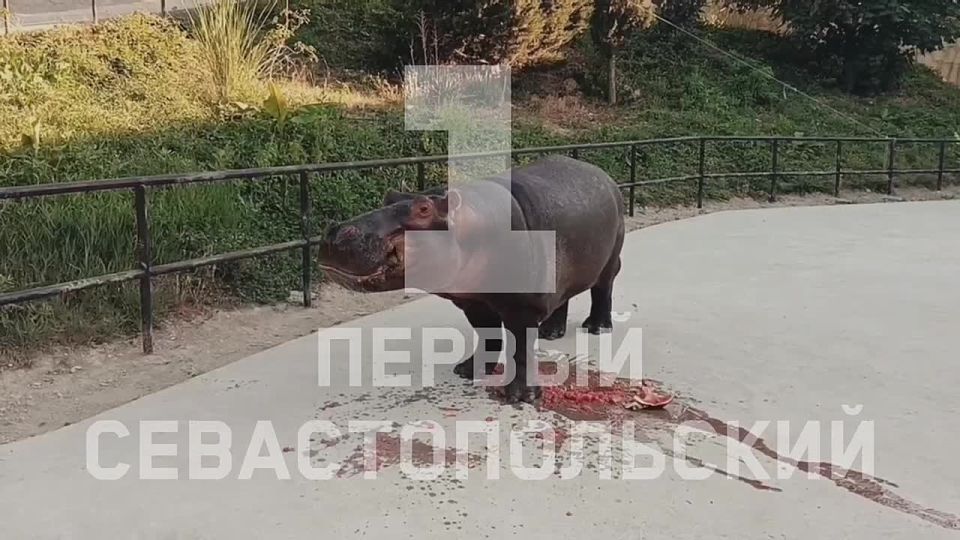 ������� ���� ���� ������� �� ������ � �������������� ��������