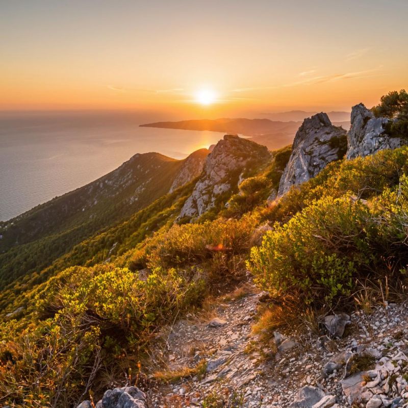 ������� ������ � ����� �� 10 �������