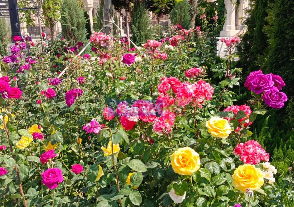 ������ ����, �����������!. �� ��������� ����������, ������� ����� ���� ���� ����