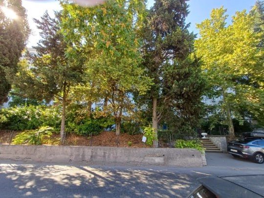 #���_�����. 31 ���� �� ������������� ���������� �� ��.��������, 13 ����������� ���������� ��������� ��������� ����������, ����������� ������������� ������������� �����