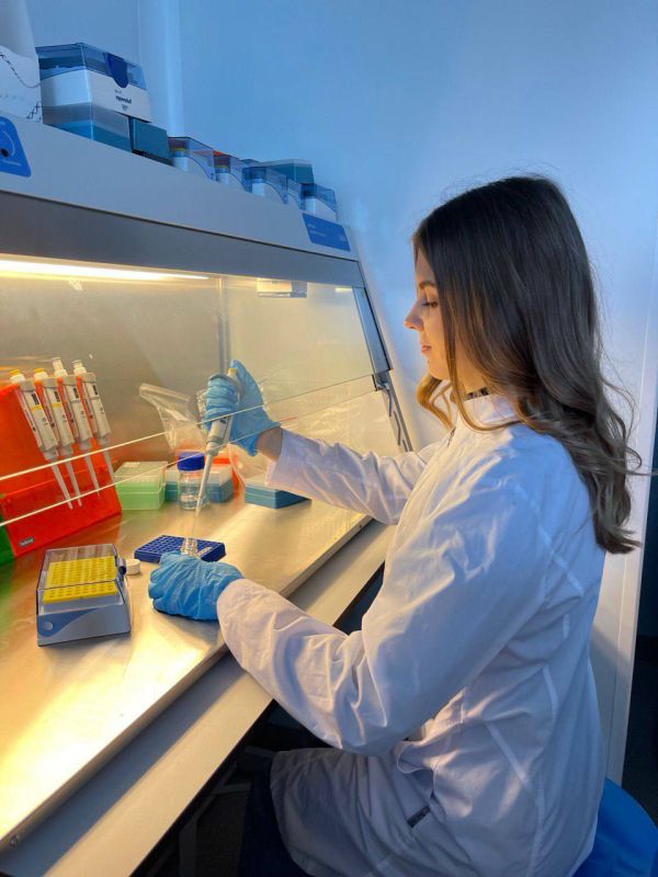 Учёные ИнБЮМ проведут исследование механизмов восстановления раковин тихоокеанских устриц