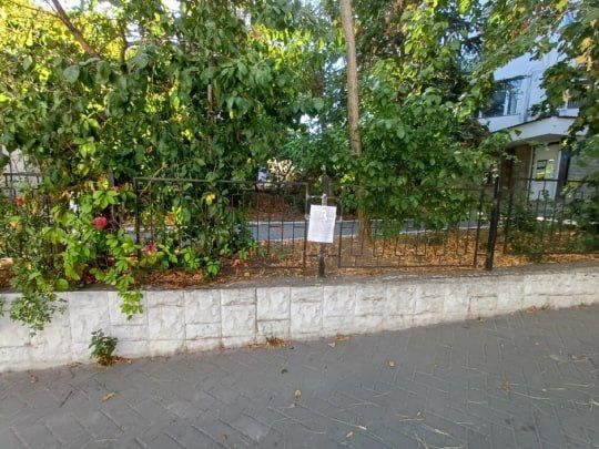 #���_�����. 31 ���� �� ������������� ���������� �� ��.��������, 13 ����������� ���������� ��������� ��������� ����������, ����������� ������������� ������������� �����