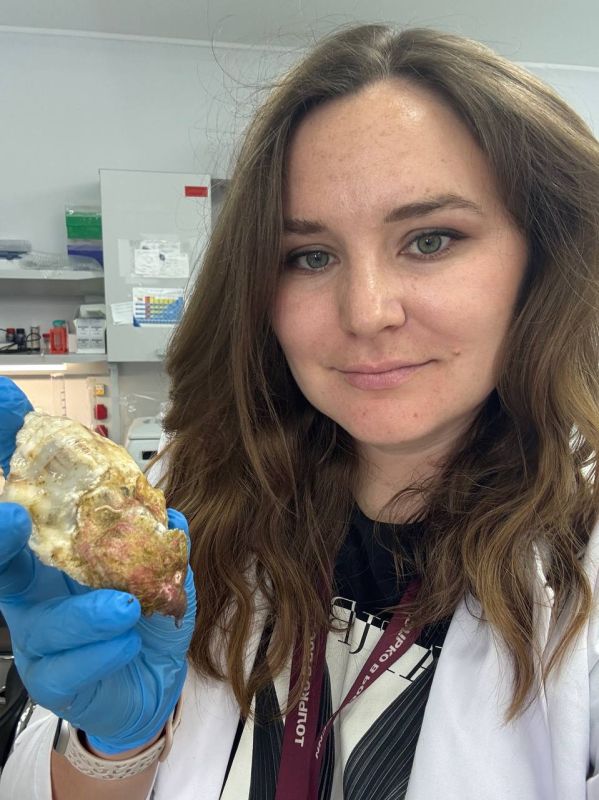 Учёные ИнБЮМ попытаются снизить смертность устриц