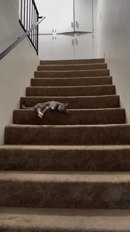 ������� ��������� ���� �� ������ � 11 �� 17 ������� 2025 ����