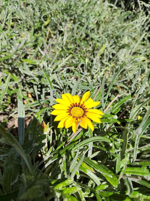 #��� �� ��������?. ���� ����� ����������� ����������� � �������� ������������ �������� ���������� ���� "��������� �����" ������ � ����� ������