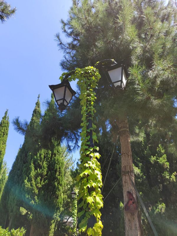 Доброго утра, друзья!. В Севастополе днем ветер северо-западный 7-12м/с