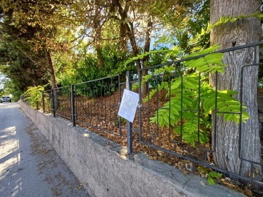 #���_�����. 31 ���� �� ������������� ���������� �� ��.��������, 13 ����������� ���������� ��������� ��������� ����������, ����������� ������������� ������������� �����