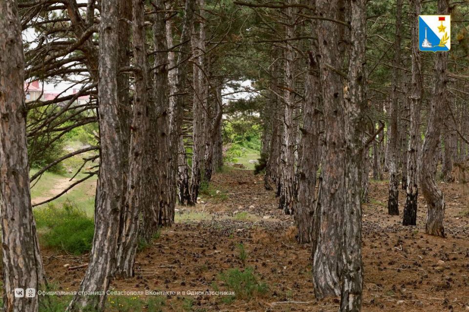 ���� ������� ��� ������� �� 20 �������