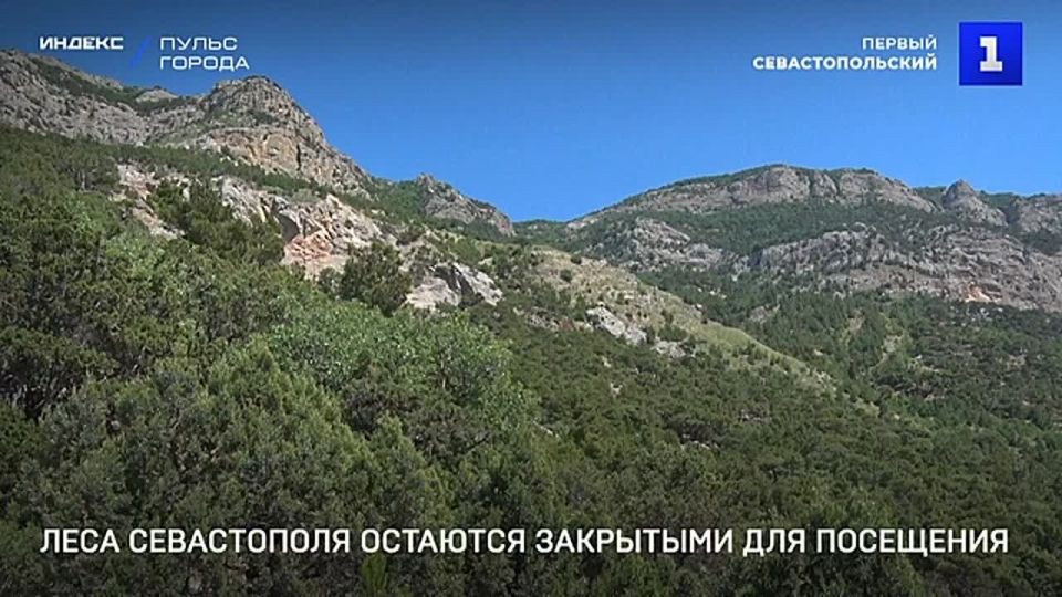 Леса Севастополя закрыты для посещения до 20 августа из-за высокой пожарной опасности