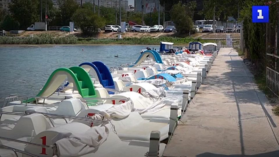 Решением проблемы цветения воды в бухте Омега займётся Севприроднадзор