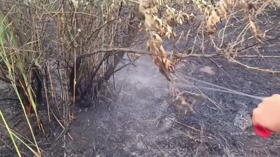 Авиация МЧС России тушит масштабный пожар в Крыму