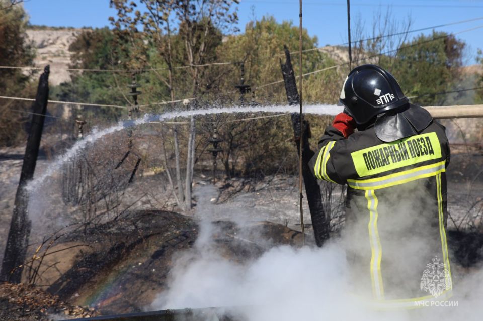 � ����������� �� ������� ������ �������� 43 ������