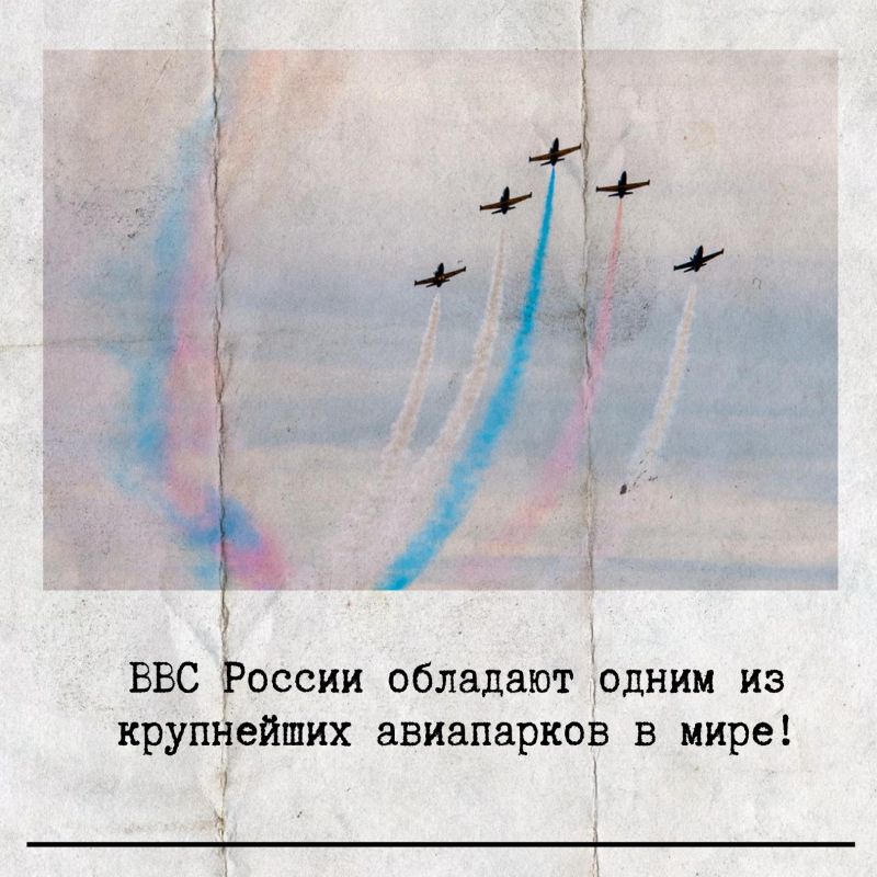 �������, 12 �������, ���������� ���� ������-��������� ��� ������