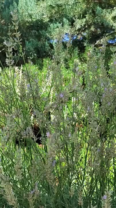 С добрым утром, друзья!. В Севастополе ветер северо-западный 10-15м/с