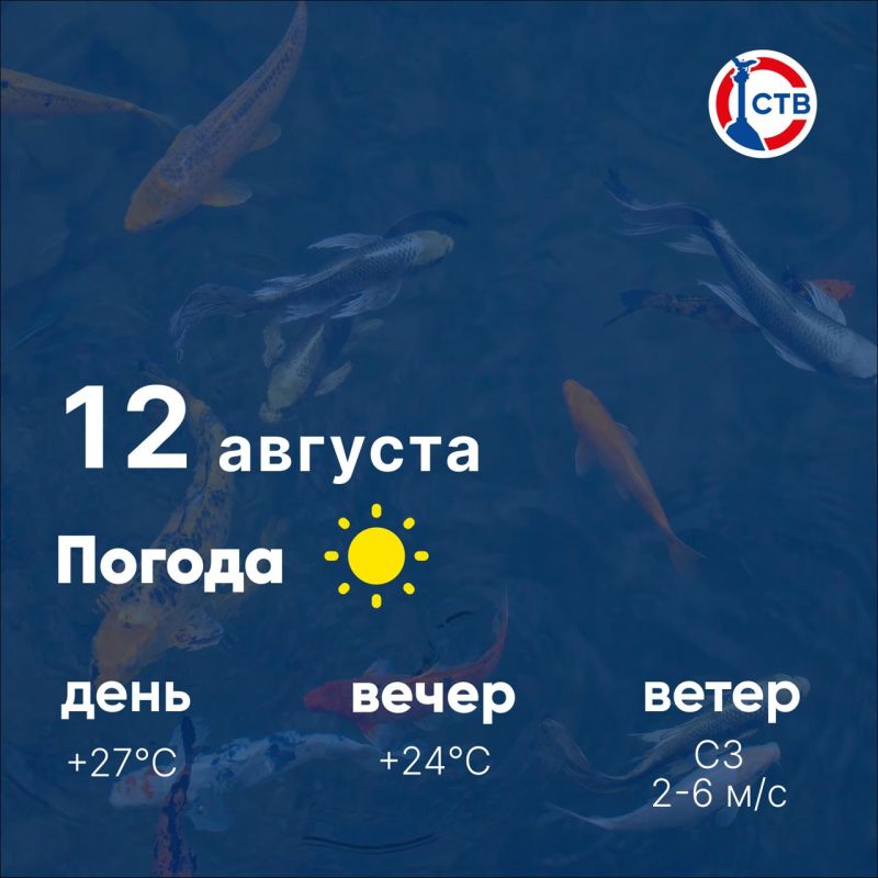 Доброе утро, севастопольцы! Сегодня в городе солнечно, без осадков