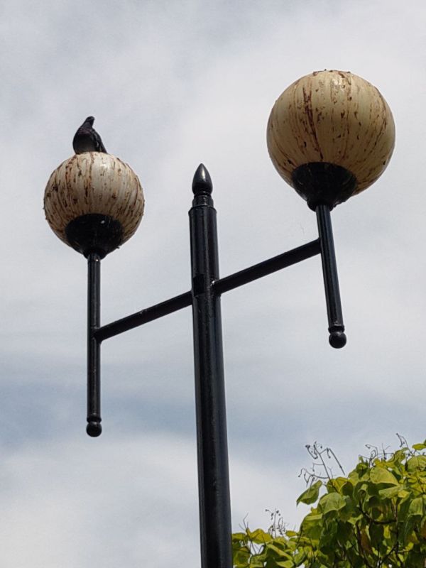 #���_�����. �������� �� �������� �������� �� ��������� ������� ��������� ��������� � �������������� ������