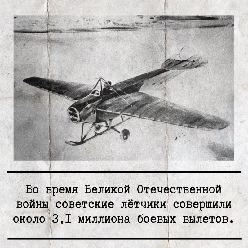 �������, 12 �������, ���������� ���� ������-��������� ��� ������