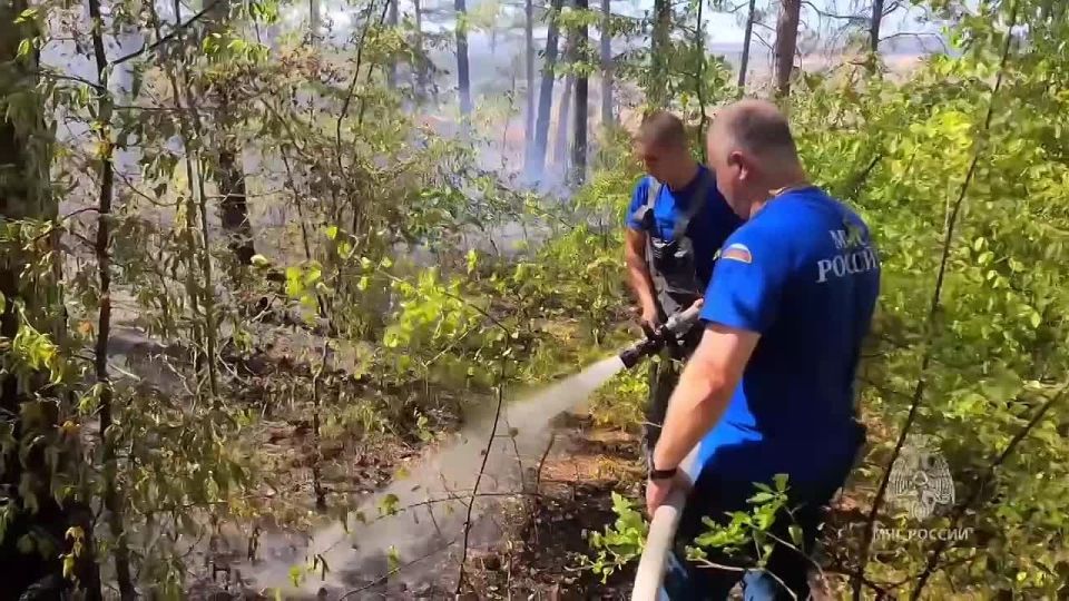 В Крыму МЧС России тушат очередной природный пожар