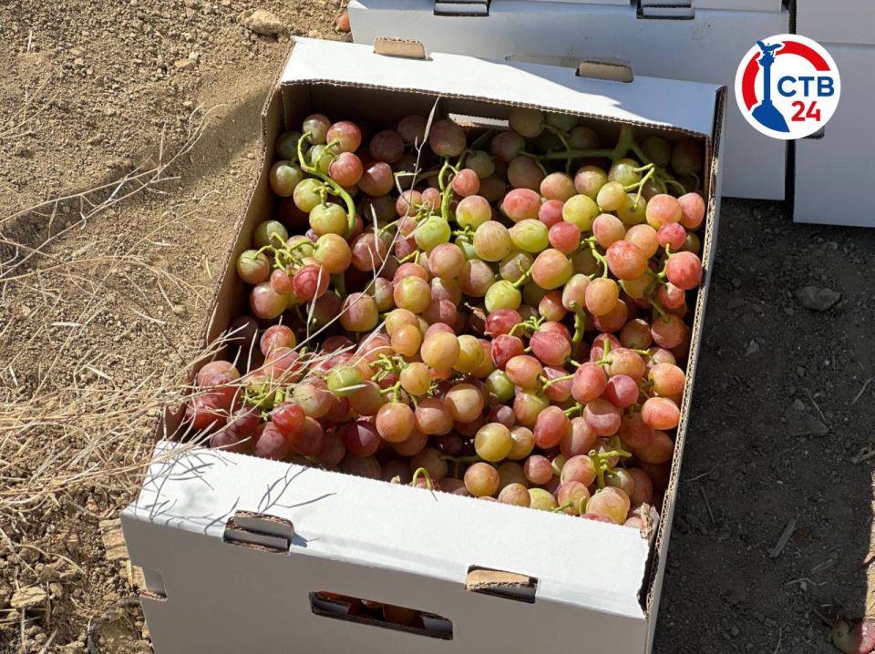 � ����������� ��������� ���� ������ ������ ���������