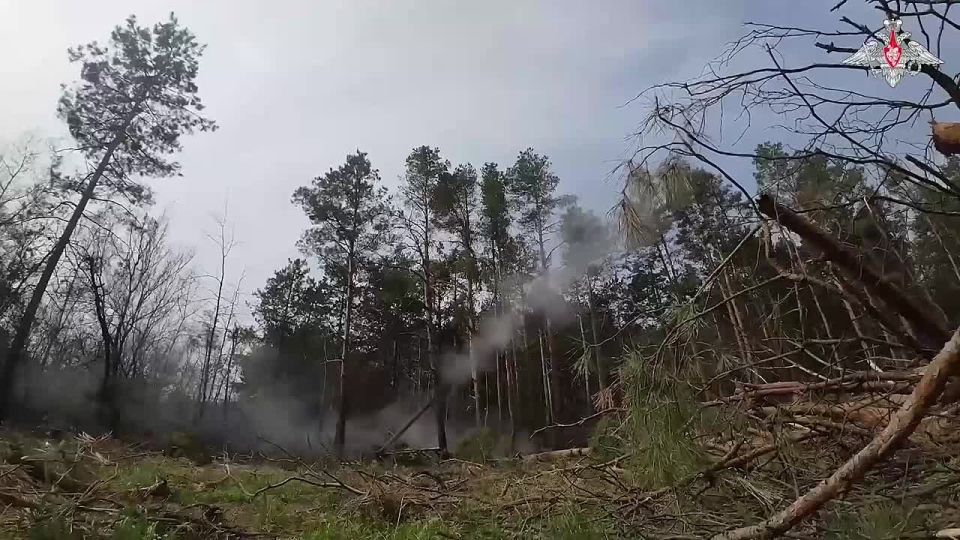 В Херсонской области ульяновские десантники уничтожили пункты управления БПЛА и живую силу ВСУ высокоточными боеприпасами «Краснополь»