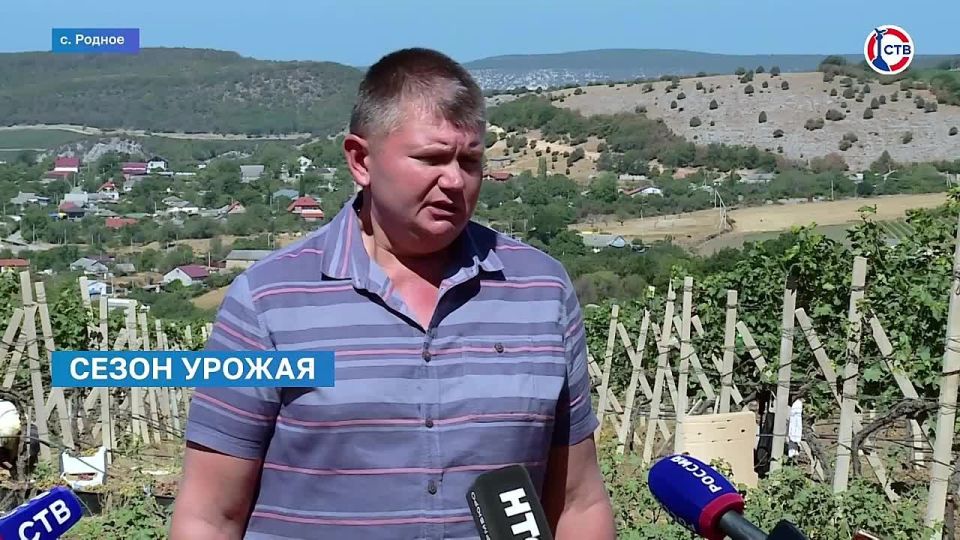                 ,       .    12  . ...